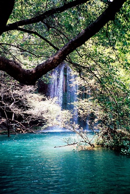Natur